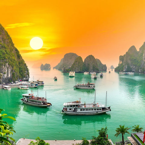 【Vietnam】ESIM*