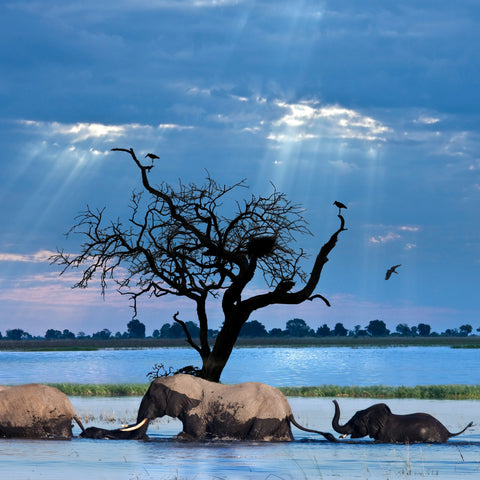 【Africa】ESIM*