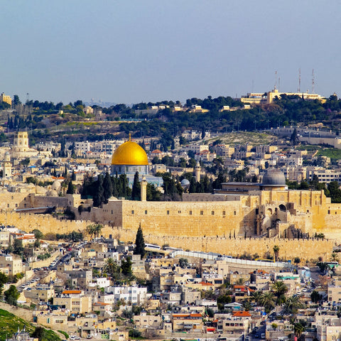 【Israel】ESIM*