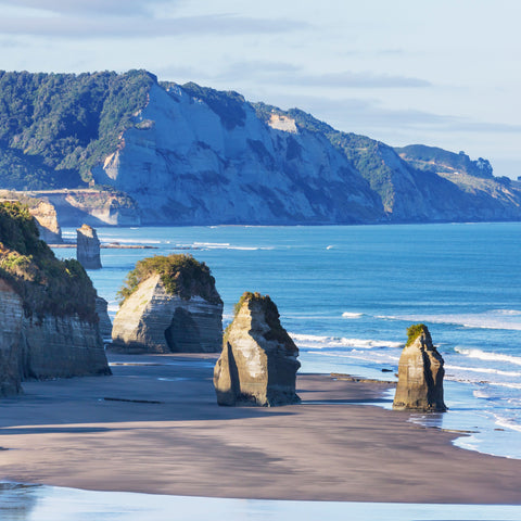 【New Zealand】ESIM*